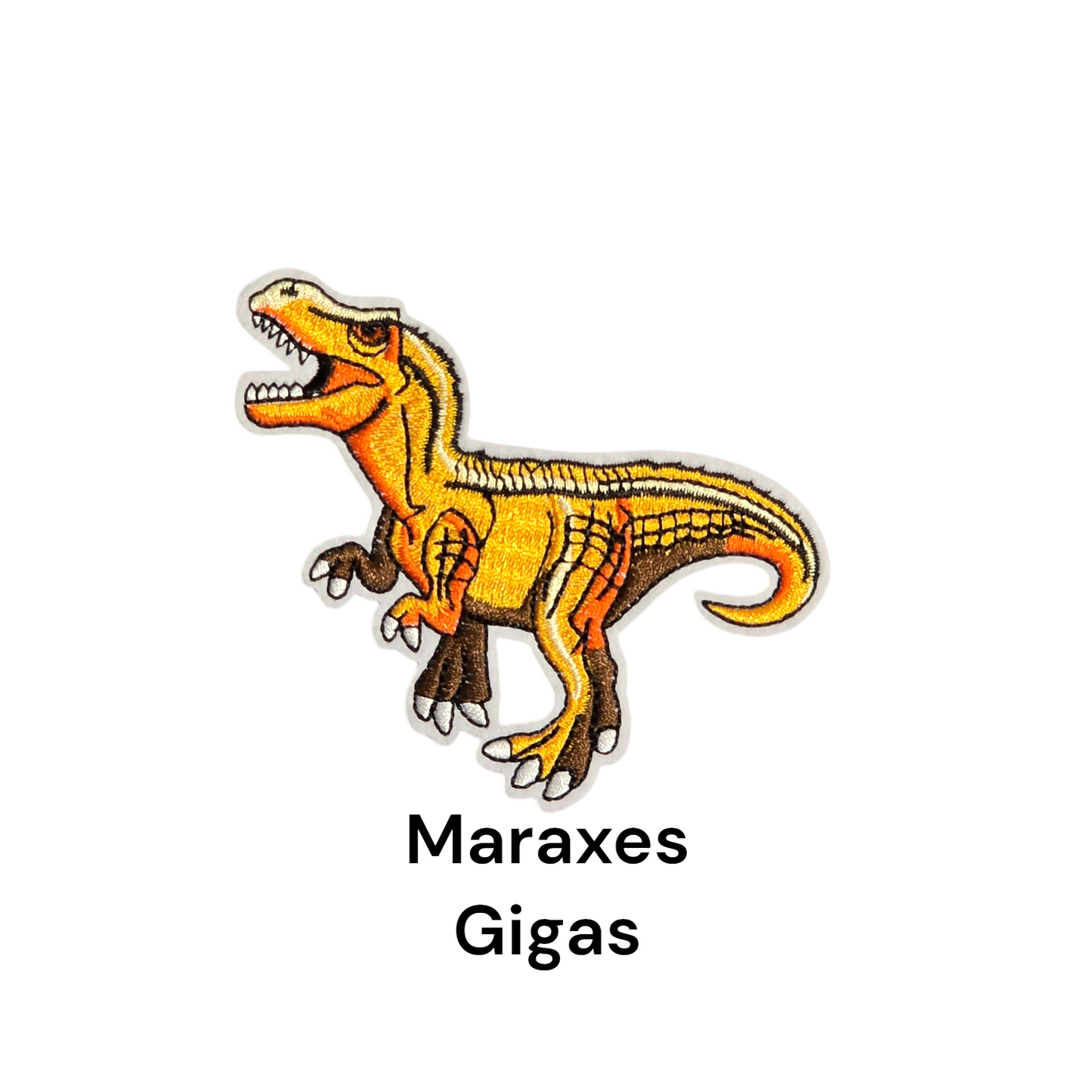 Dinosaur Iron on Motifs